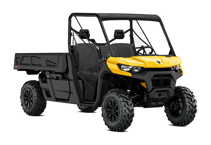 Can-Am Defender Pro DPS HD10
